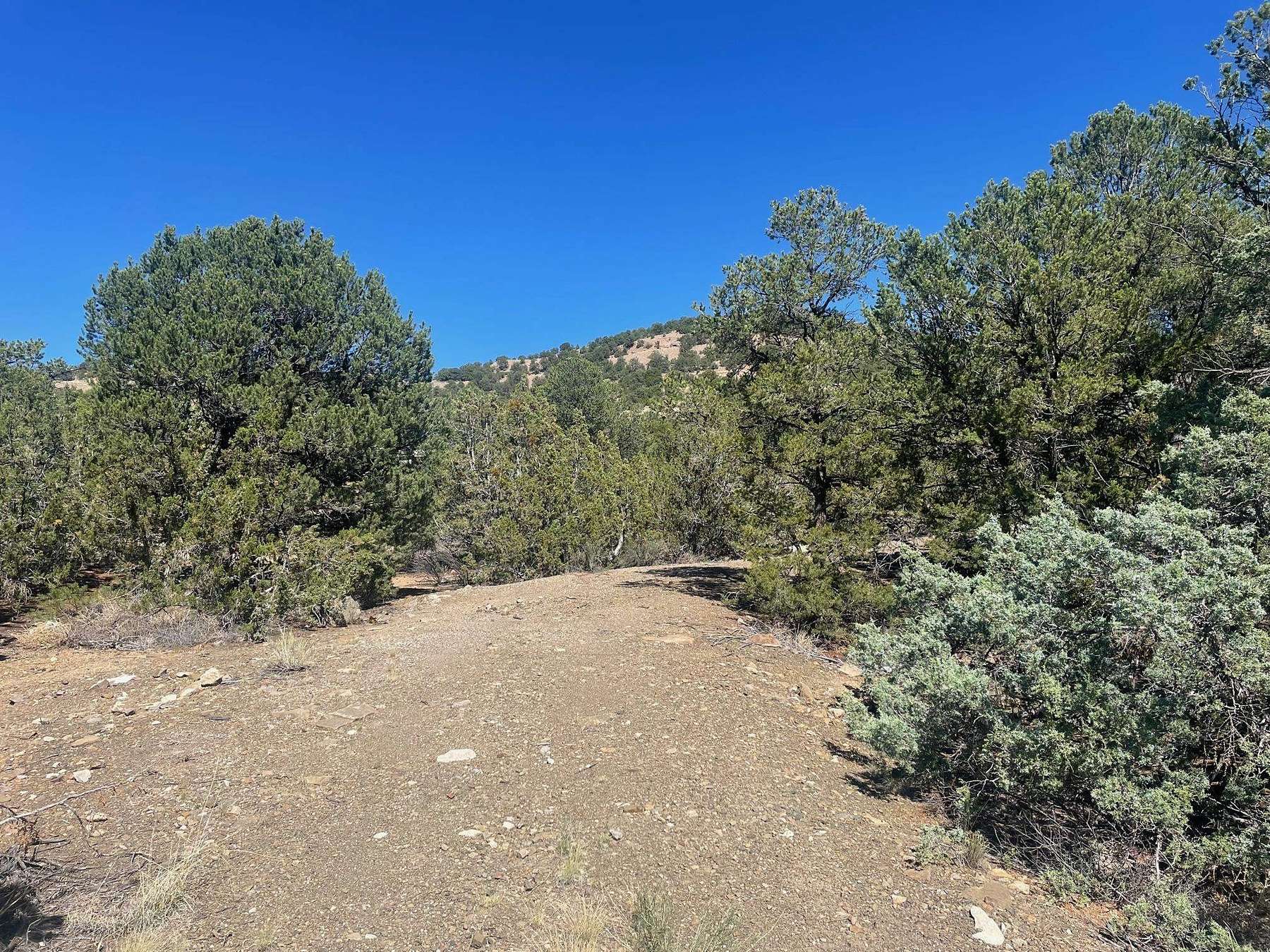 2.4 Acres of Land for Sale in Taos, New Mexico