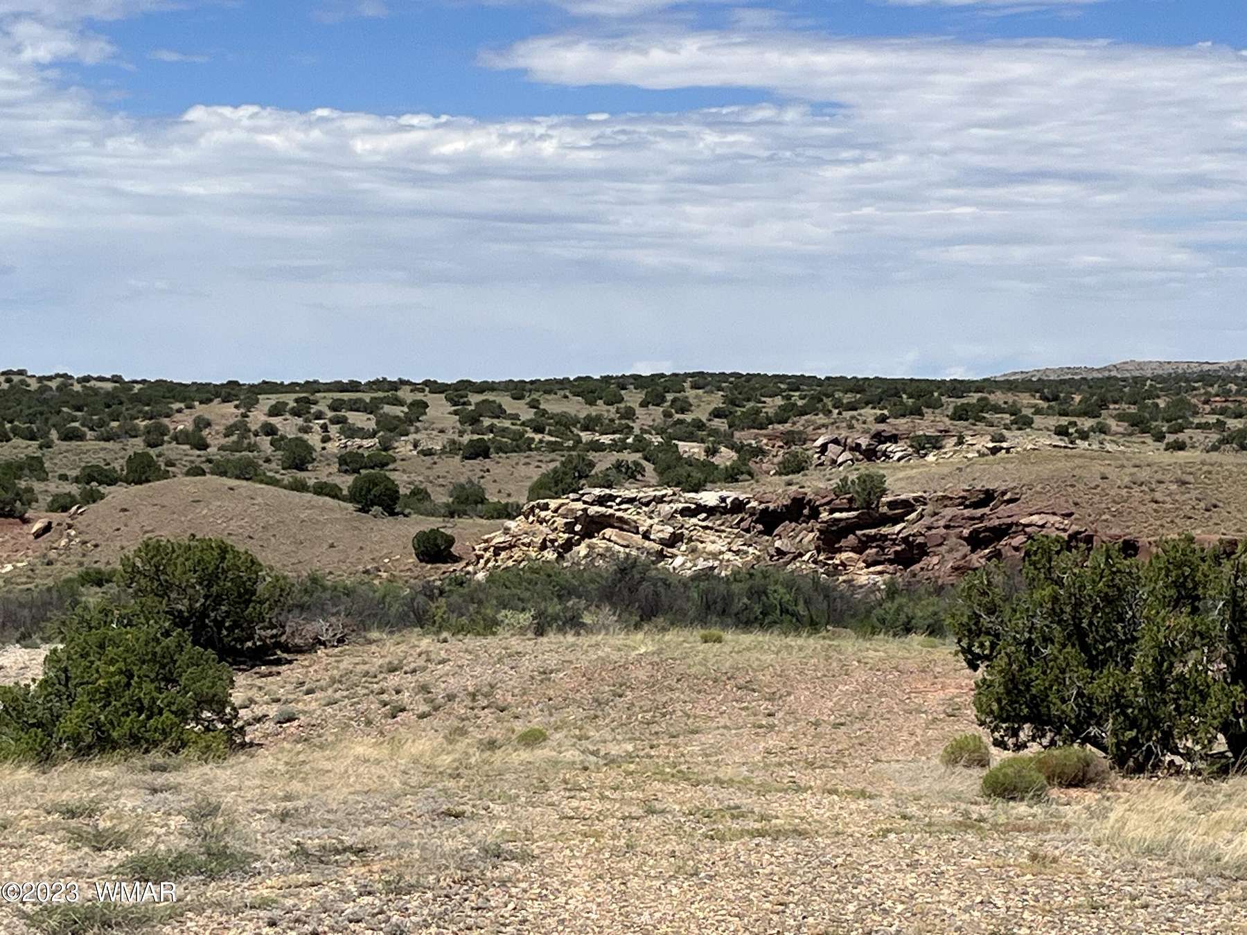 53.3 Acres of Recreational Land for Sale in St. Johns, Arizona
