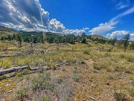 2.5 Acres of Residential Land for Sale in Texas Creek, Colorado