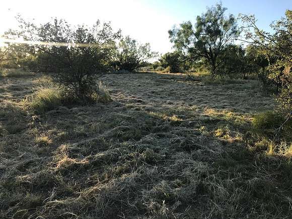 2 Acres of Land for Sale in Snyder, Texas