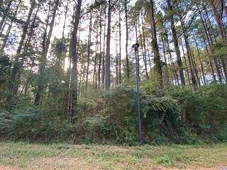 0.5 Acres of Residential Land for Sale in Hattiesburg, Mississippi