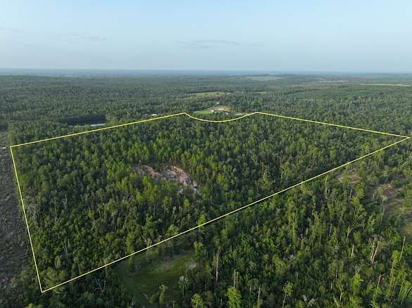 84 Acres of Recreational Land for Sale in Marianna, Florida