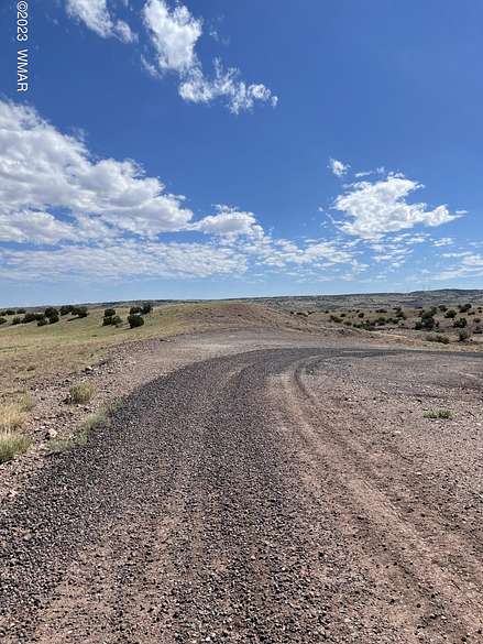 40 Acres of Recreational Land & Farm for Sale in Concho, Arizona