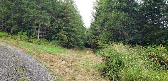 19.6 Acres of Recreational Land & Farm for Sale in Onalaska, Washington