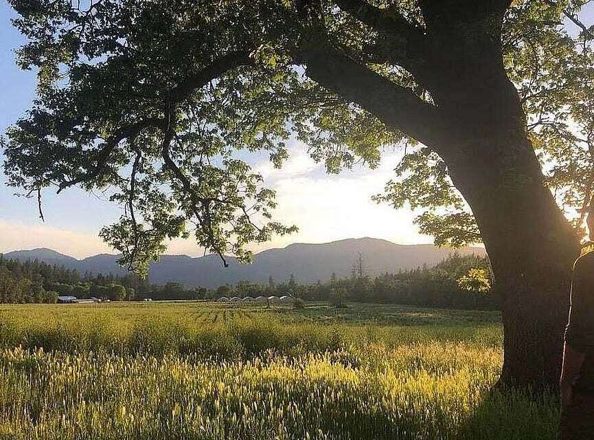 494.64 Acres of Land for Sale in Rogue River, Oregon