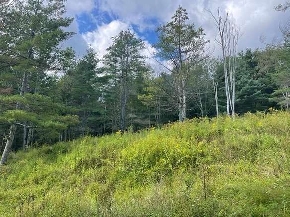 20 Acres of Recreational Land for Sale in Athens, Pennsylvania