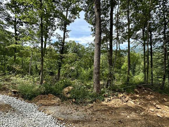 8.8 Acres of Residential Land for Sale in Newcomb, Tennessee
