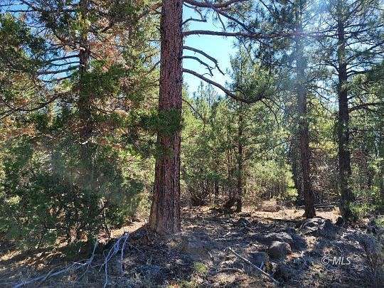 1.9 Acres of Residential Land for Sale in Alturas, California