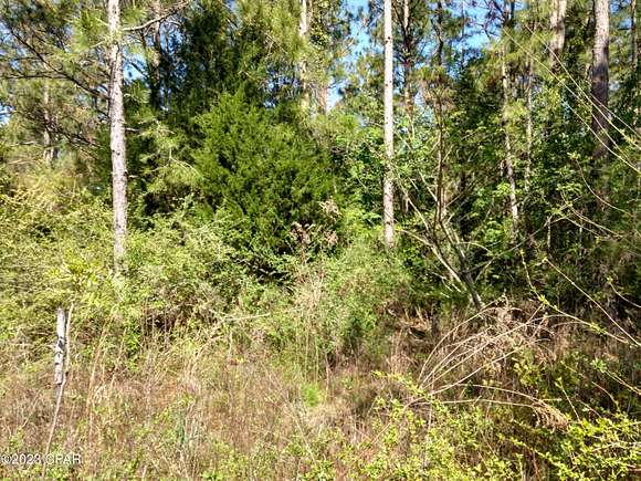 0.23 Acres of Residential Land for Sale in Chipley, Florida