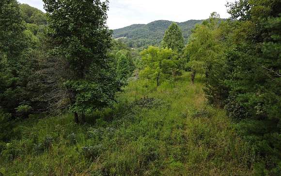 85.5 Acres of Land for Sale in Hayesville, North Carolina