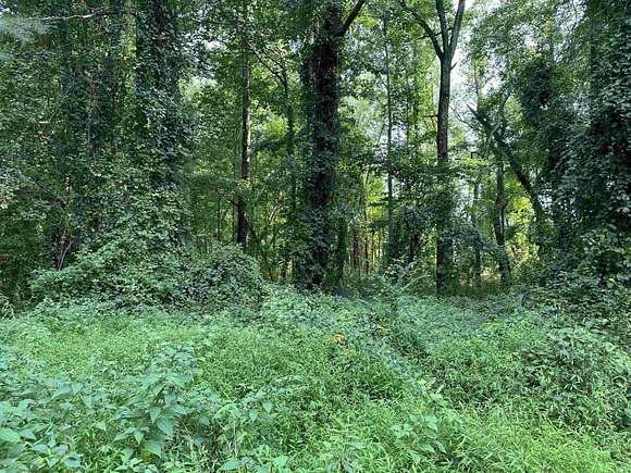 Land for Sale in Fuquay-Varina, North Carolina