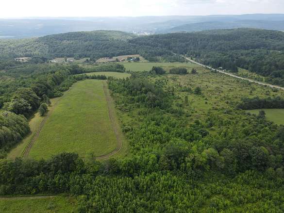 71.2 Acres of Land for Sale in Friendship, New York