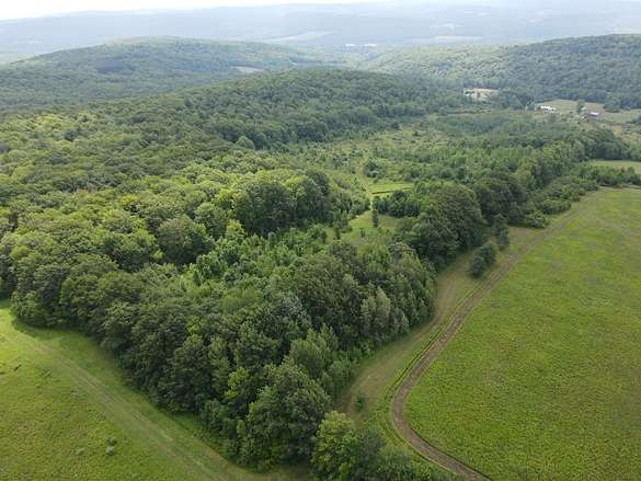 47.5 Acres of Land for Sale in Friendship, New York