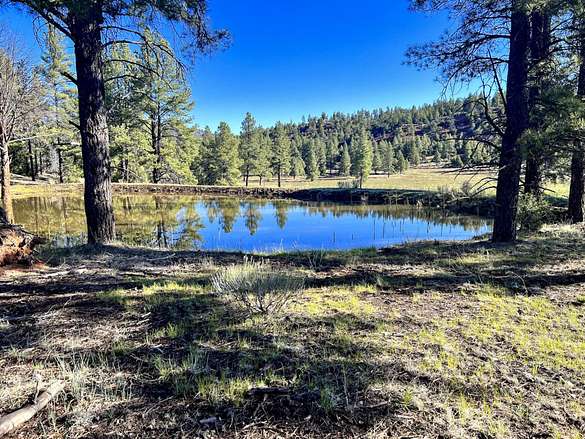 190 Acres of Improved Recreational Land & Farm for Sale in Bluewater, New Mexico