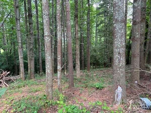 1 Acre of Residential Land for Sale in Pisgah Forest, North Carolina