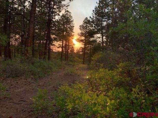 4.7 Acres of Residential Land for Sale in Ridgway, Colorado