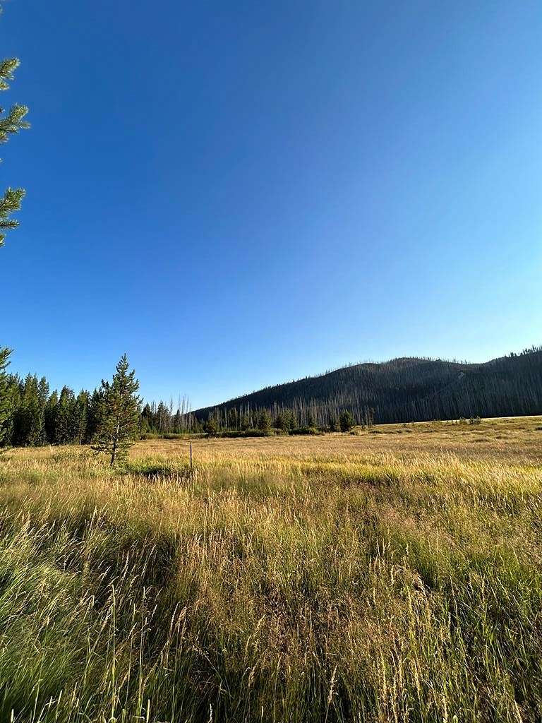1.3 Acres of Residential Land for Sale in Burgdorf, Idaho