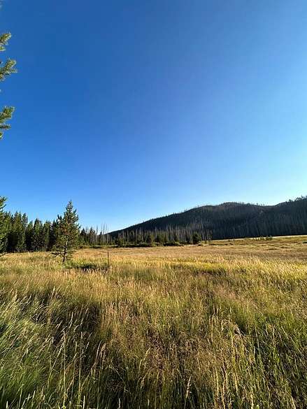1.3 Acres of Residential Land for Sale in Burgdorf, Idaho