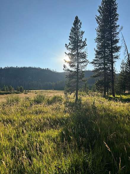 1.4 Acres of Residential Land for Sale in Burgdorf, Idaho