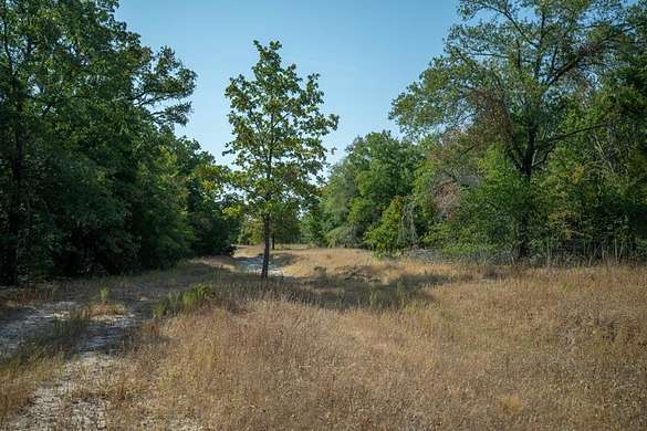 44 Acres of Land for Sale in Calvert, Texas