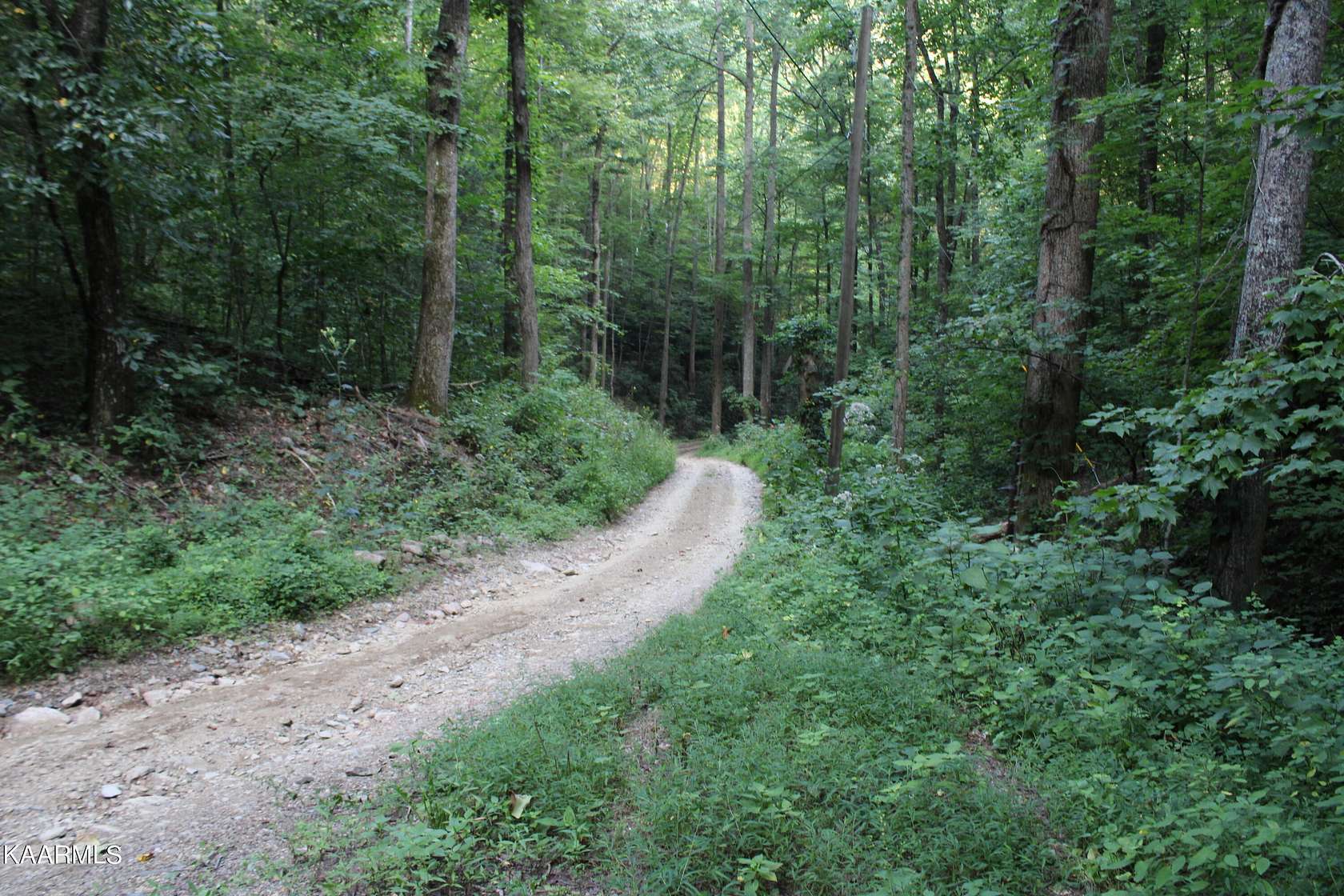 5.8 Acres of Residential Land for Sale in Townsend, Tennessee