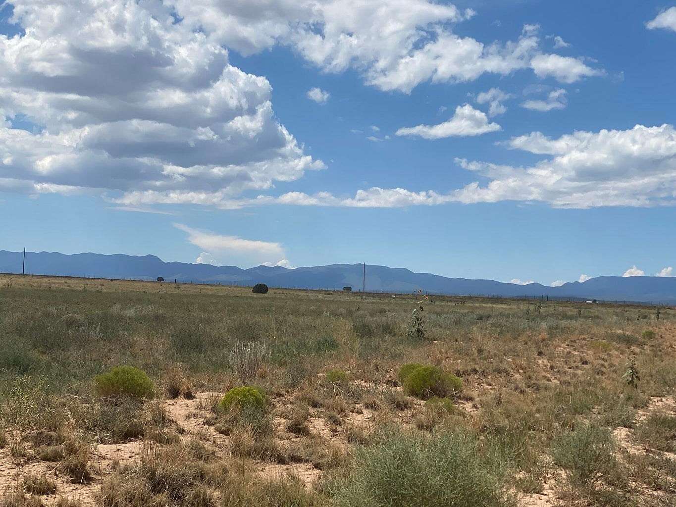 80 Acres of Land for Sale in Estancia, New Mexico