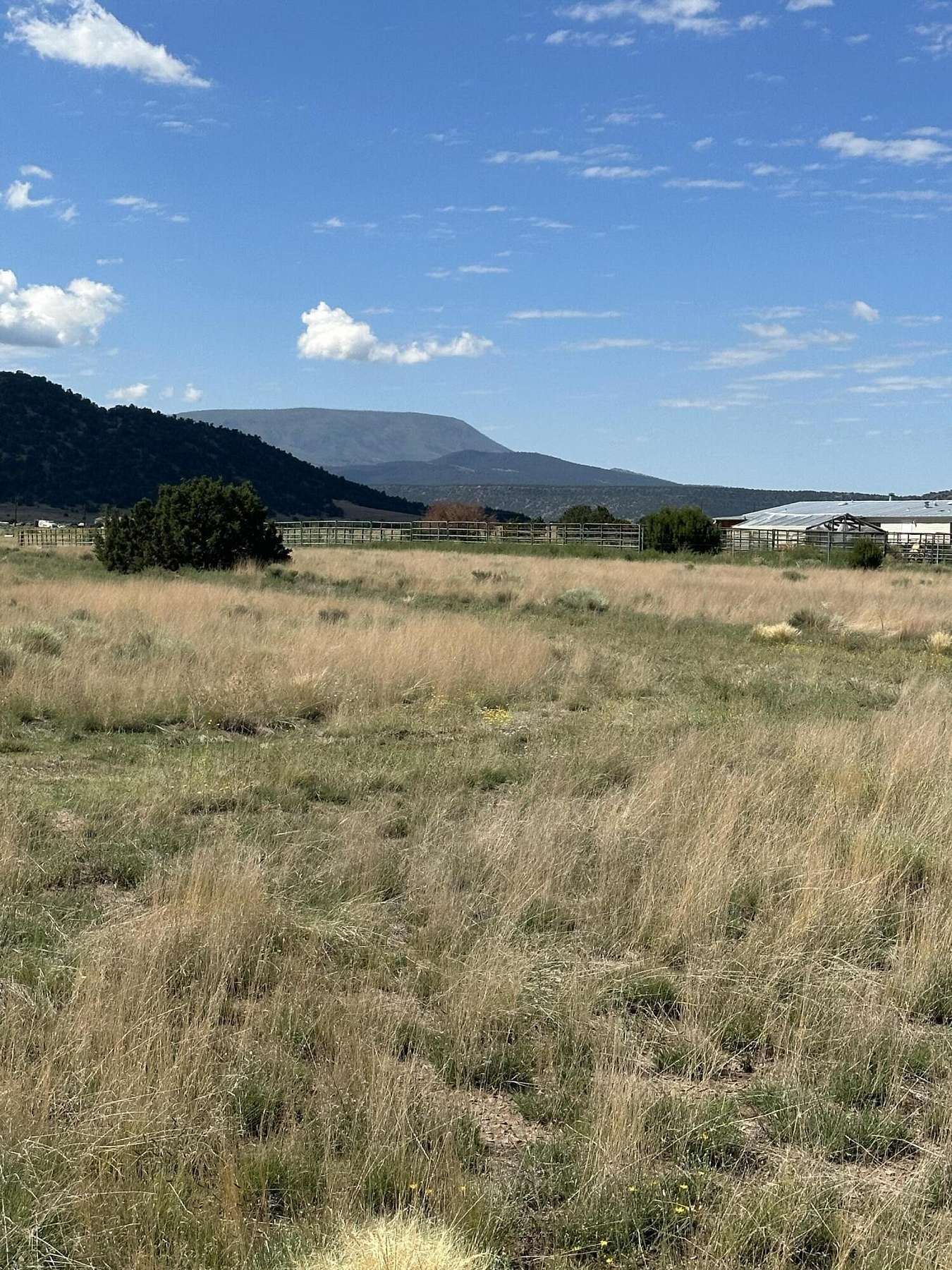20 Acres of Land for Sale in Quemado, New Mexico