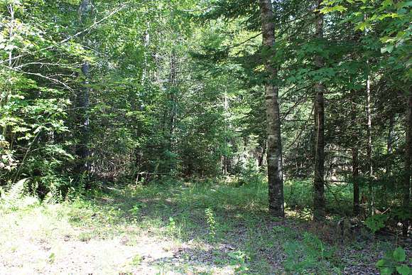 3.3 Acres of Land for Sale in Waldo, Maine