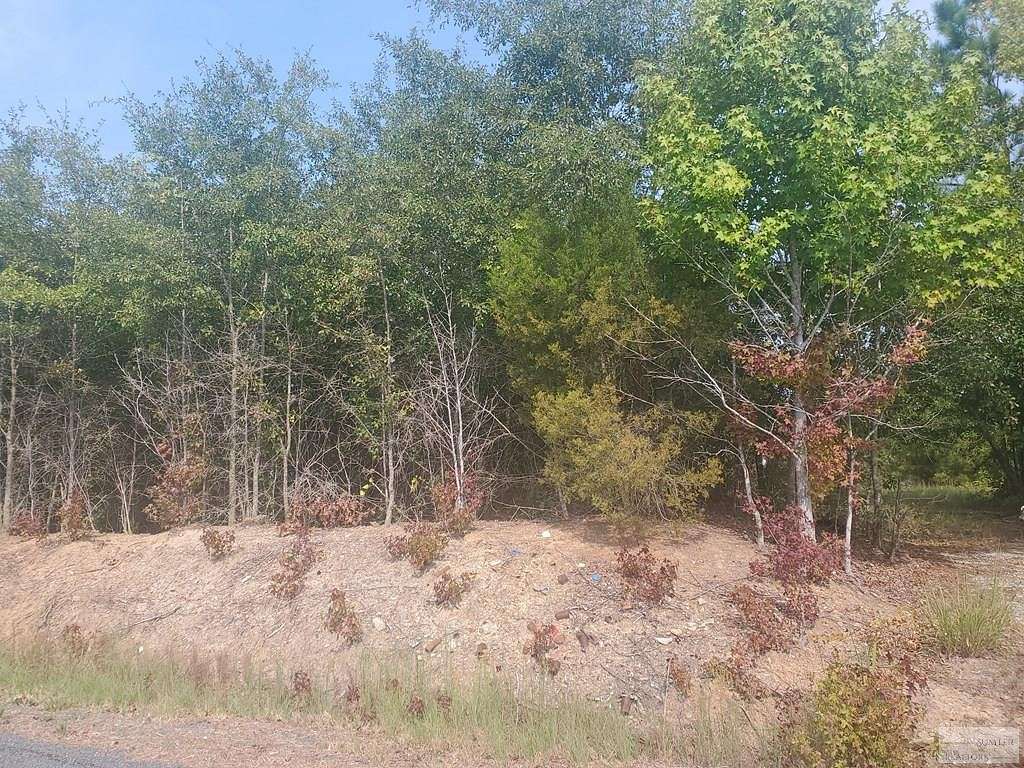 30.3 Acres of Agricultural Land for Sale in Rembert, South Carolina