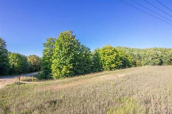15.4 Acres of Recreational Land for Sale in Hayes Township, Michigan