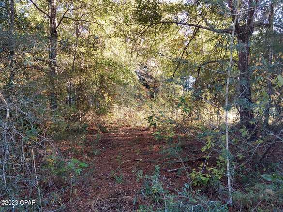 0.42 Acres of Residential Land for Sale in Chipley, Florida