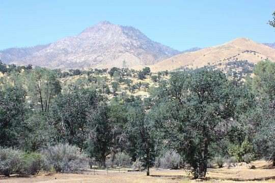 0.75 Acres of Residential Land for Sale in Wofford Heights, California