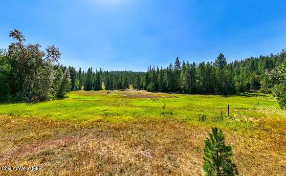 41.5 Acres of Recreational Land & Farm for Sale in Harrison, Idaho