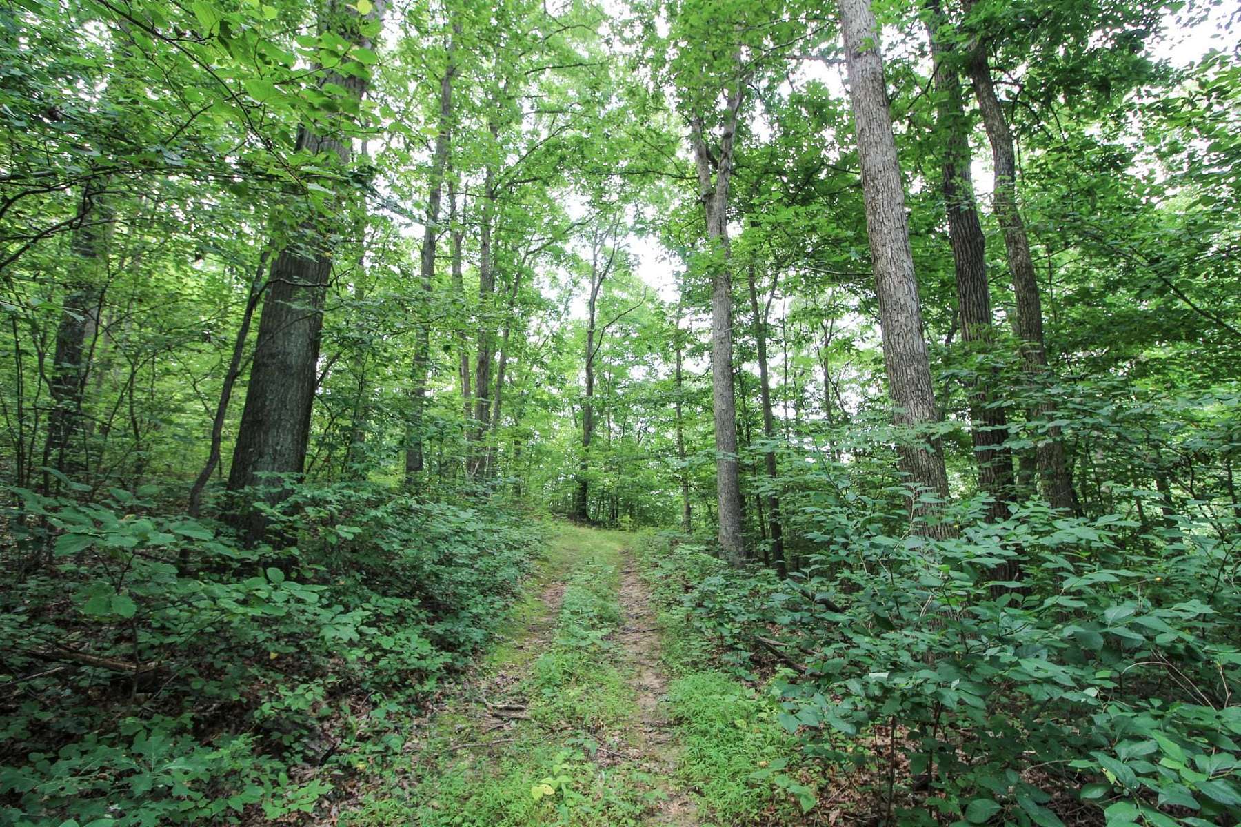25.8 Acres of Recreational Land for Sale in Bergholz, Ohio