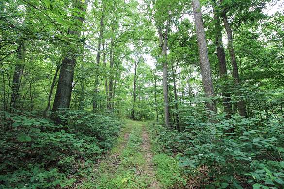 25.8 Acres of Recreational Land for Sale in Bergholz, Ohio