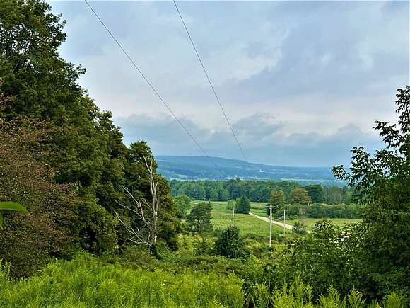 61.1 Acres of Land for Sale in Cattaraugus, New York