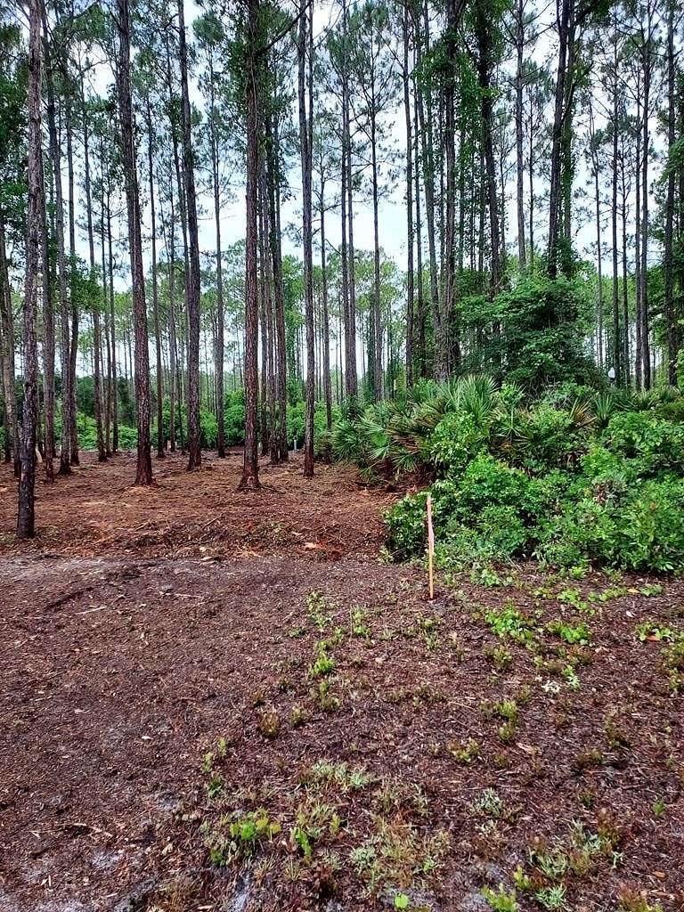 0.16 Acres of Residential Land for Sale in Carrabelle, Florida