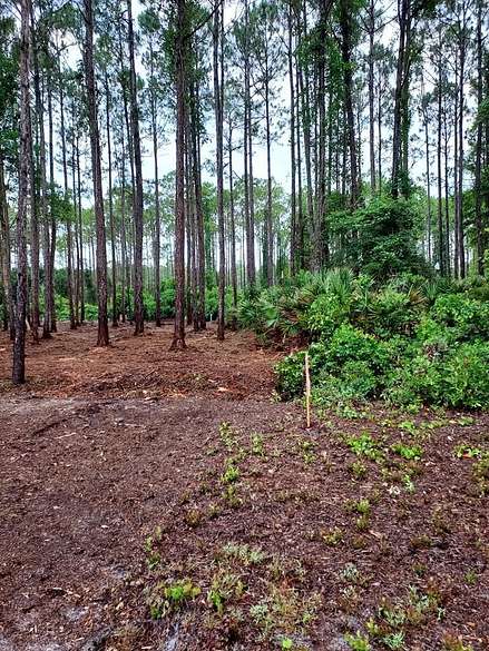 0.16 Acres of Residential Land for Sale in Carrabelle, Florida