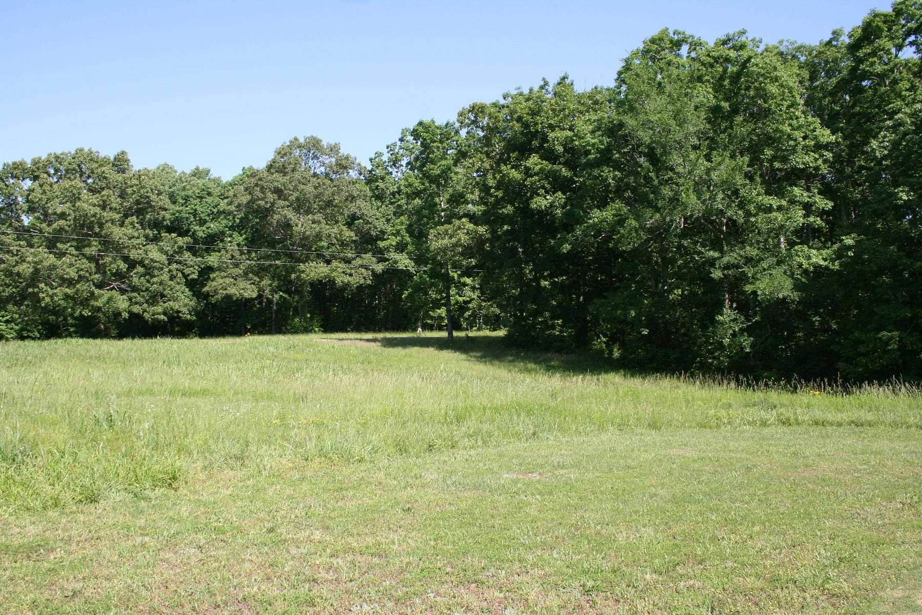 110 Acres of Recreational Land & Farm for Sale in Parsons, Tennessee