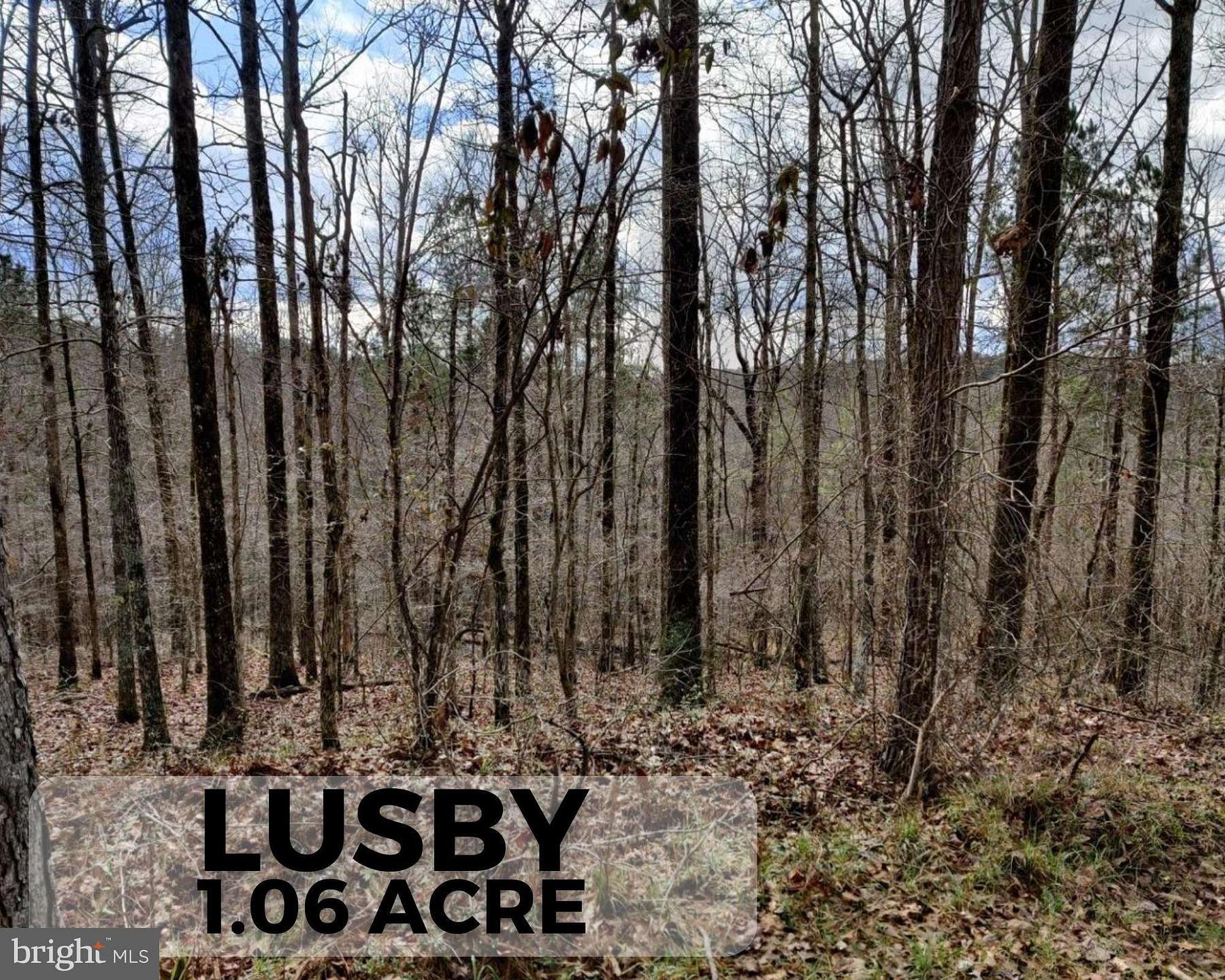 1.1 Acres of Residential Land for Sale in Lusby, Maryland