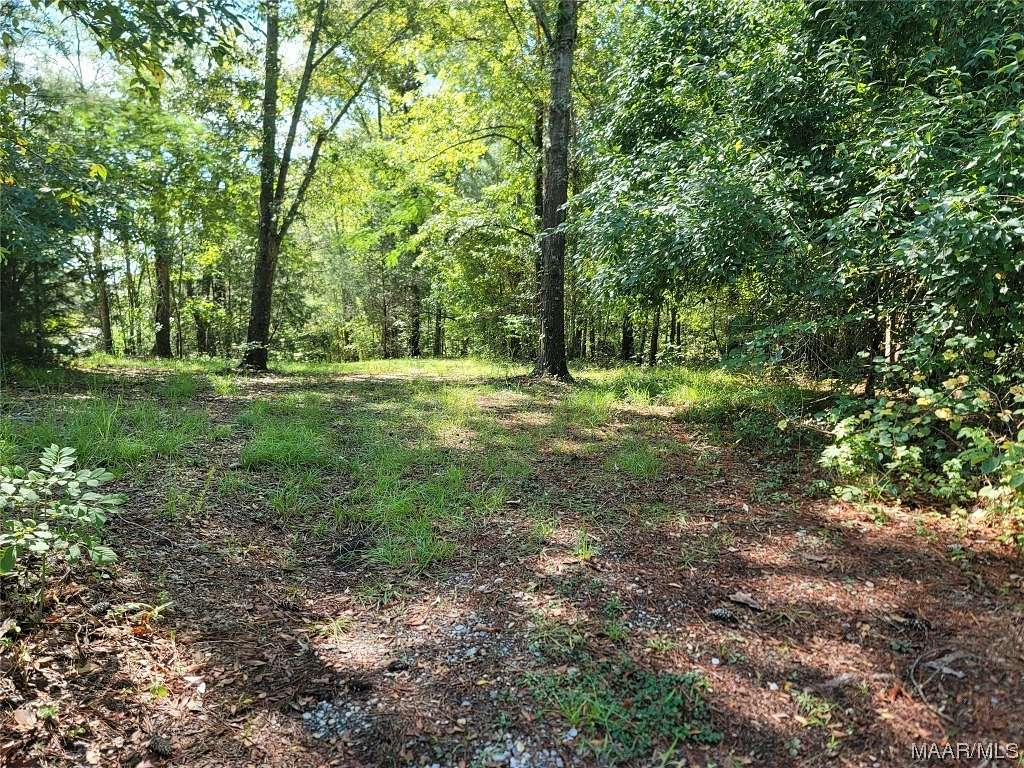 0.5 Acres of Residential Land for Sale in Mathews, Alabama