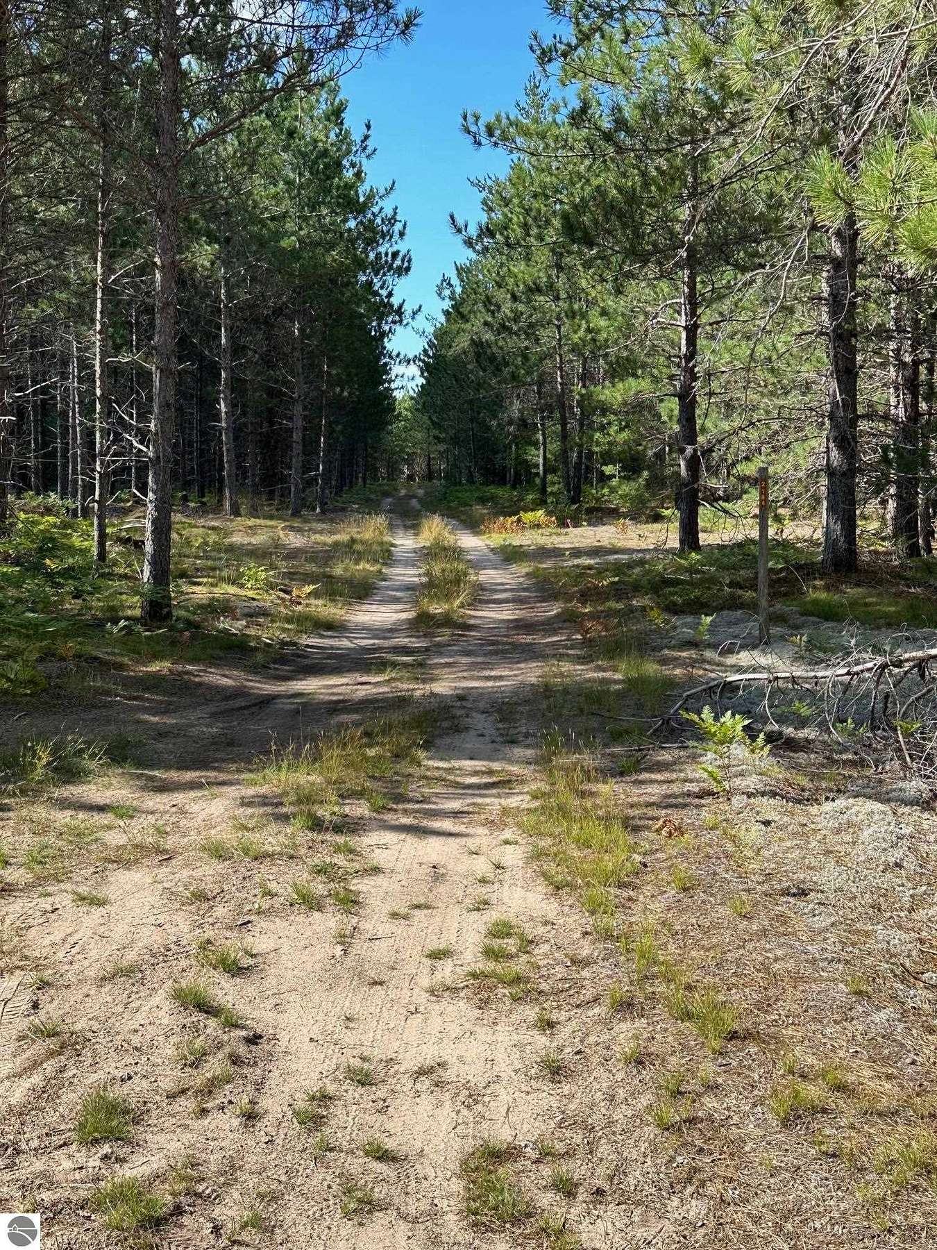 80 Acres of Recreational Land for Sale in Munising, Michigan