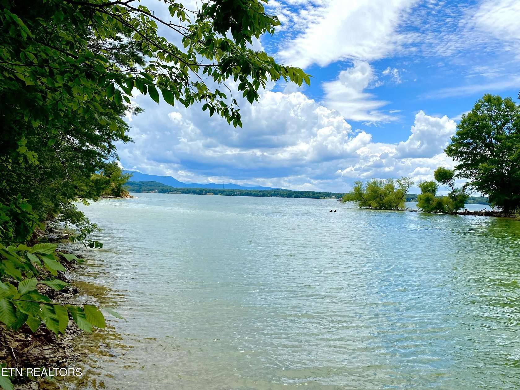 0.55 Acres of Residential Land for Sale in Baneberry, Tennessee