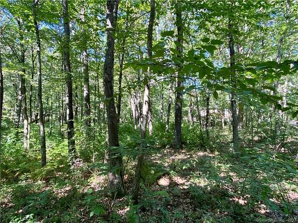 1.5 Acres of Residential Land for Sale in Tolland, Connecticut