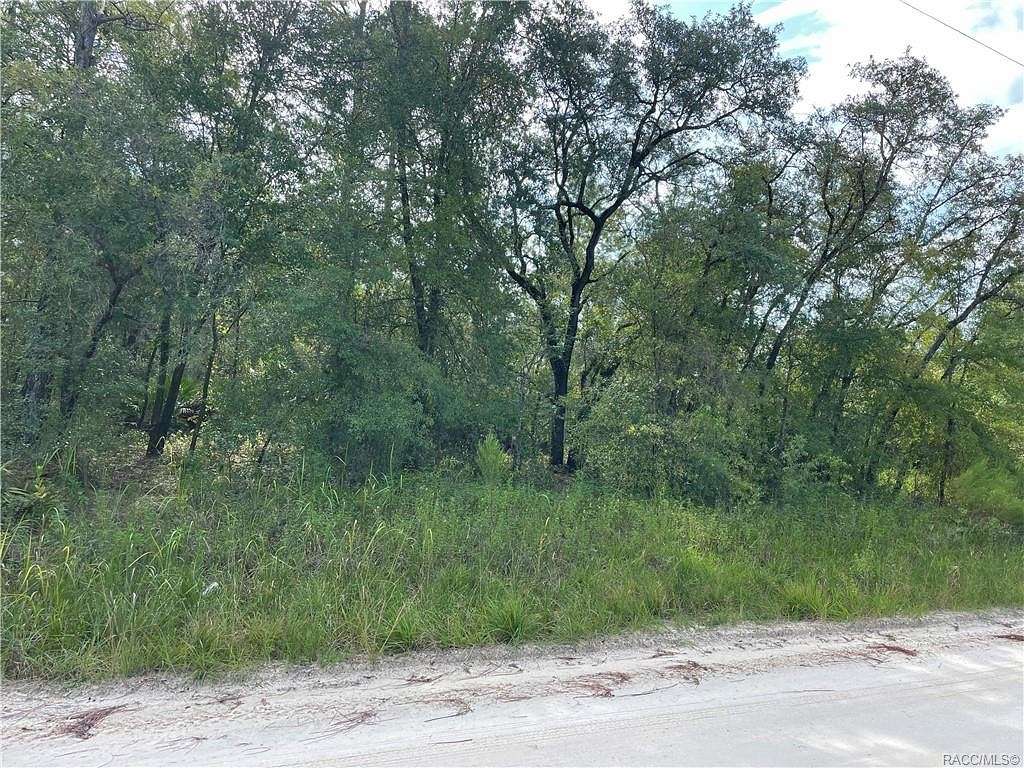 5.1 Acres of Agricultural Land for Sale in Dunnellon, Florida