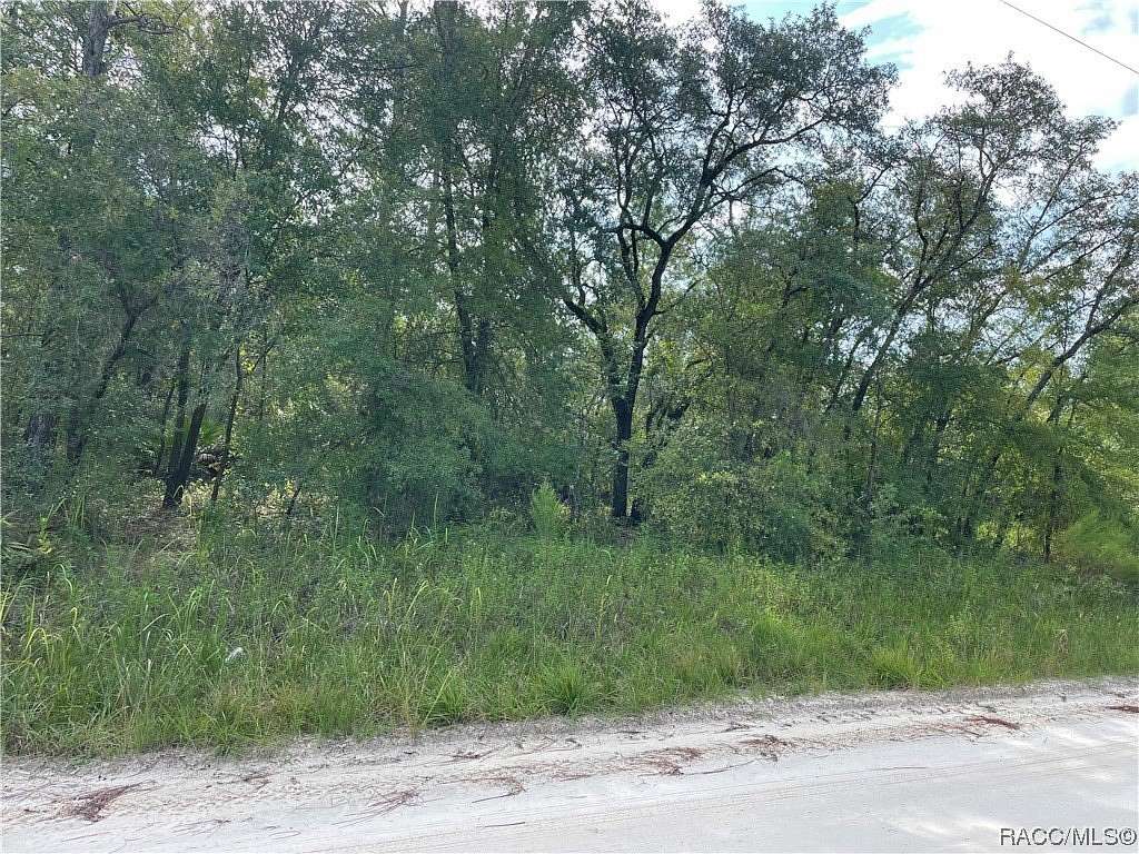 5.05 Acres of Agricultural Land for Sale in Dunnellon, Florida