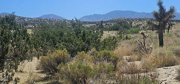 21.6 Acres of Agricultural Land for Sale in Pearblossom, California