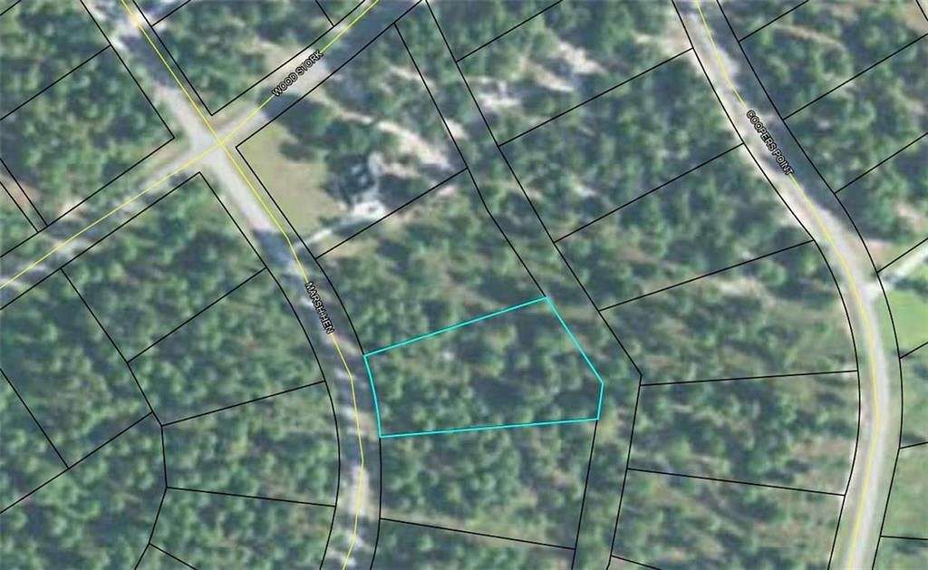 1 Acre of Residential Land for Sale in Townsend, Georgia