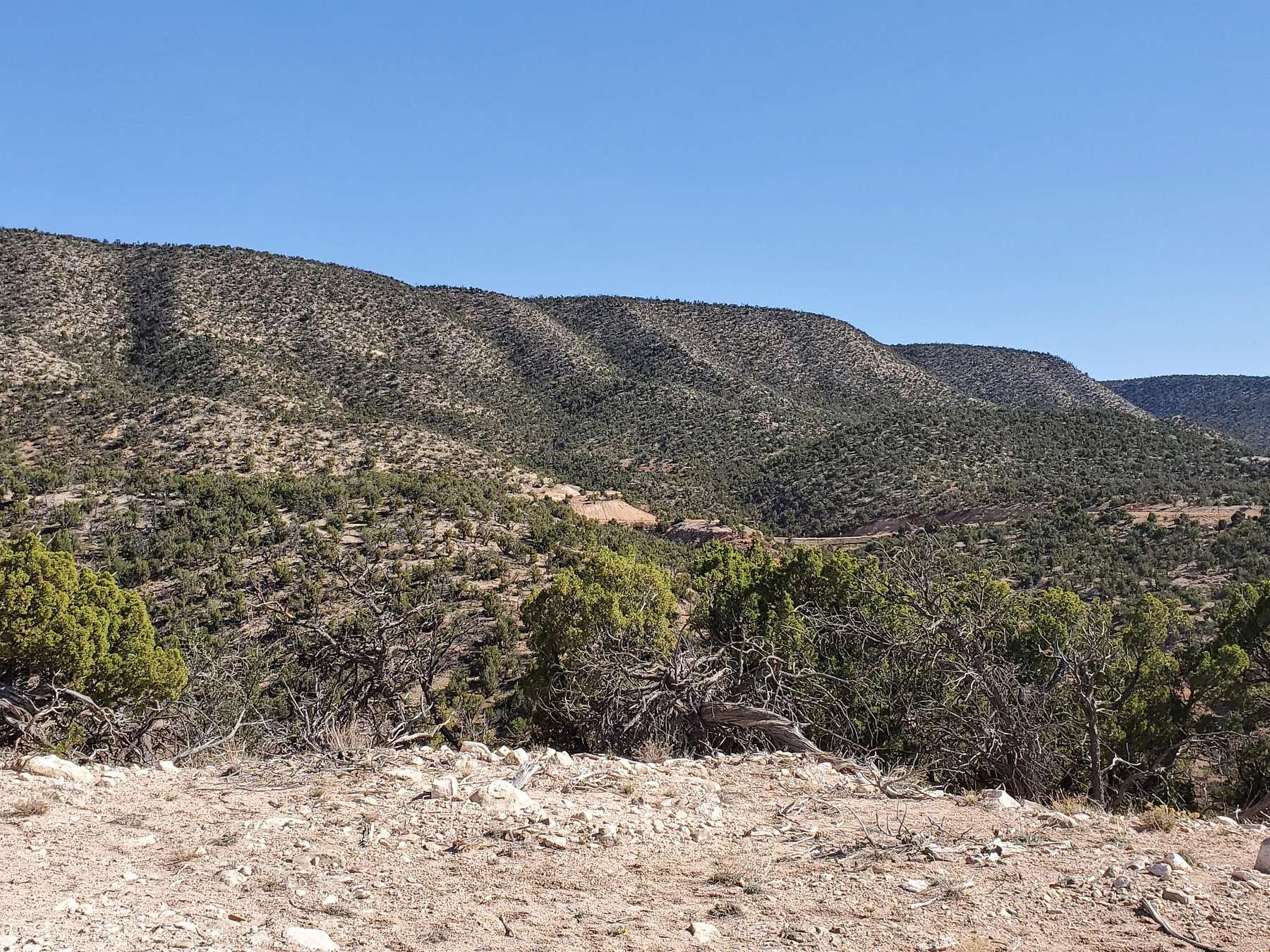 20 Acres of Land for Sale in Mountainair, New Mexico