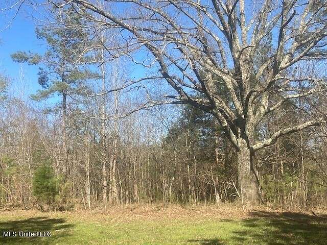 50 Acres of Land for Sale in Mount Pleasant, Mississippi